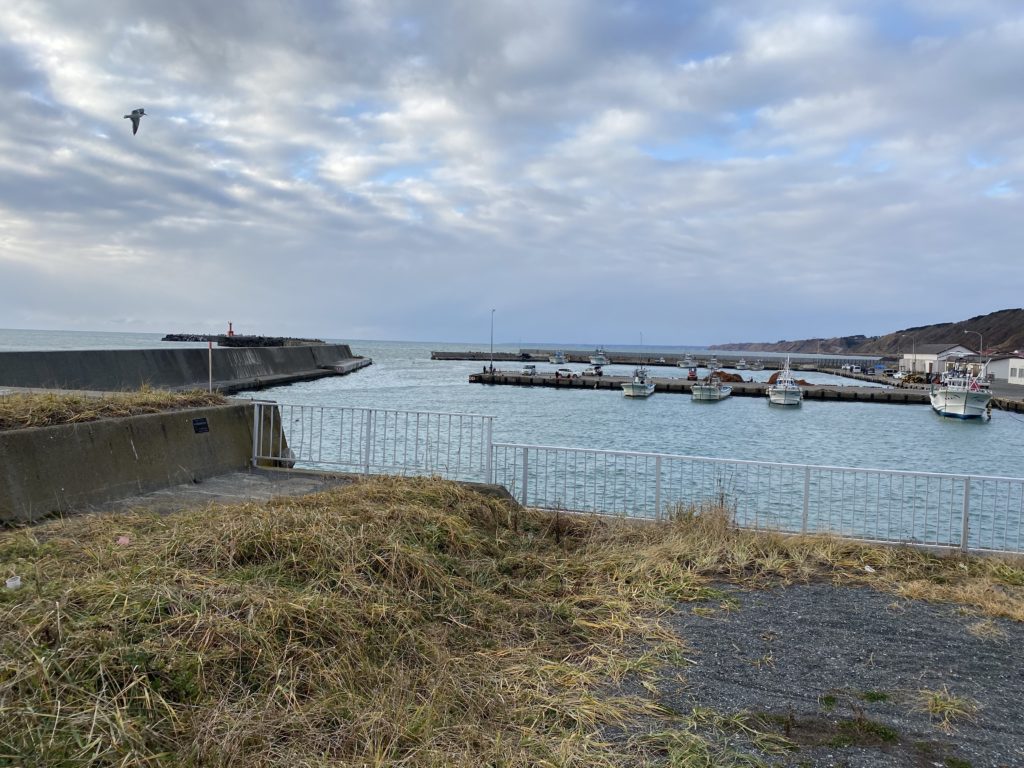 節婦漁港 厚賀漁港 カジカ釣り 11 28 北海道の釣りと日常